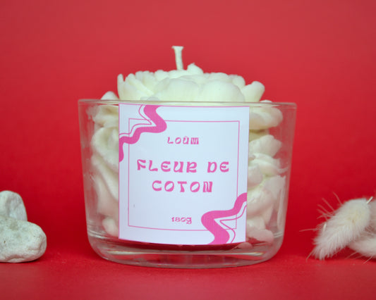Fleur de coton ☁️